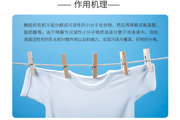 夏盛固体工业多元复合酶颗粒(洗涤剂用酶/去除餐具及织物上的污渍)GFG-3315