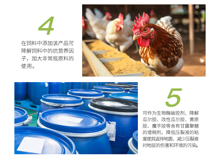 夏盛固体食品级半纤维素酶5万酶活(降解细胞壁中的半纤维素)FDG-2255