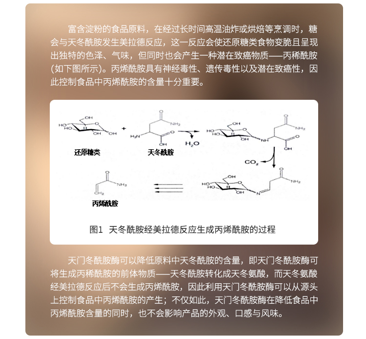 夏盛固体食品级天门冬酰胺酶3000酶活(抑制丙烯酰胺/膨化食品及饼干生产可用)FDG-2266