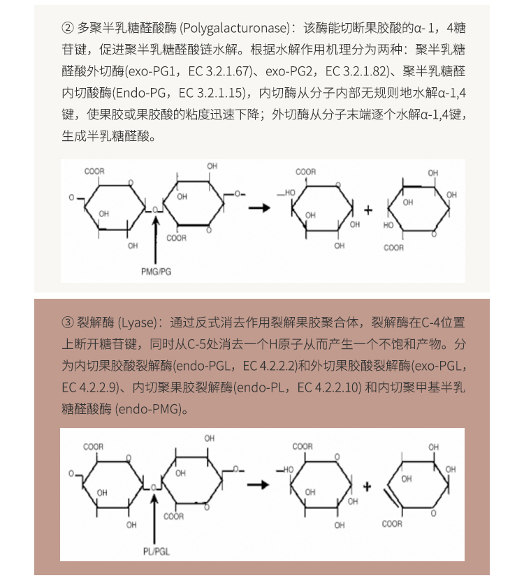 夏盛固体食品级果胶酶30万酶活(降黏)FDG-2259