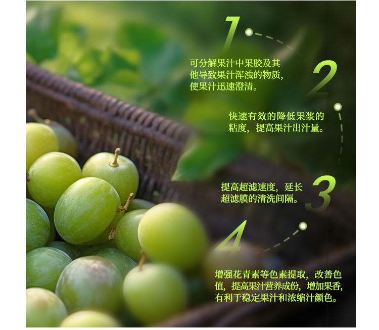 夏盛液体食品用果胶酶(浆果专用)FFY-3607