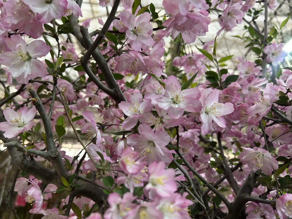 春心萌動正當(dāng)時(shí) 春心萌動正當(dāng)時(shí)