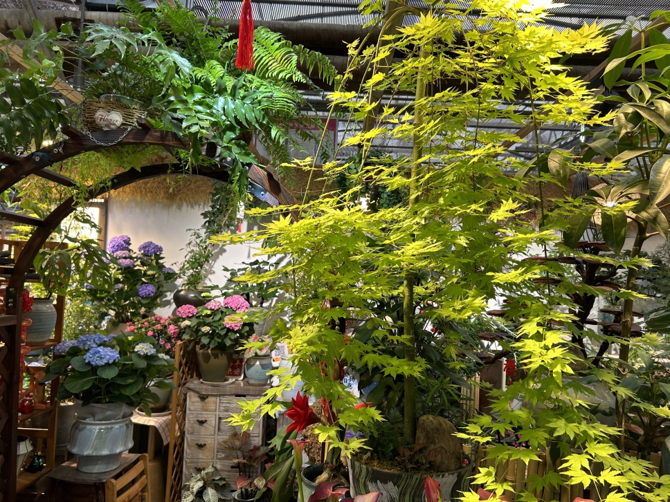 春心萌動正當(dāng)時(shí) 春心萌動正當(dāng)時(shí)