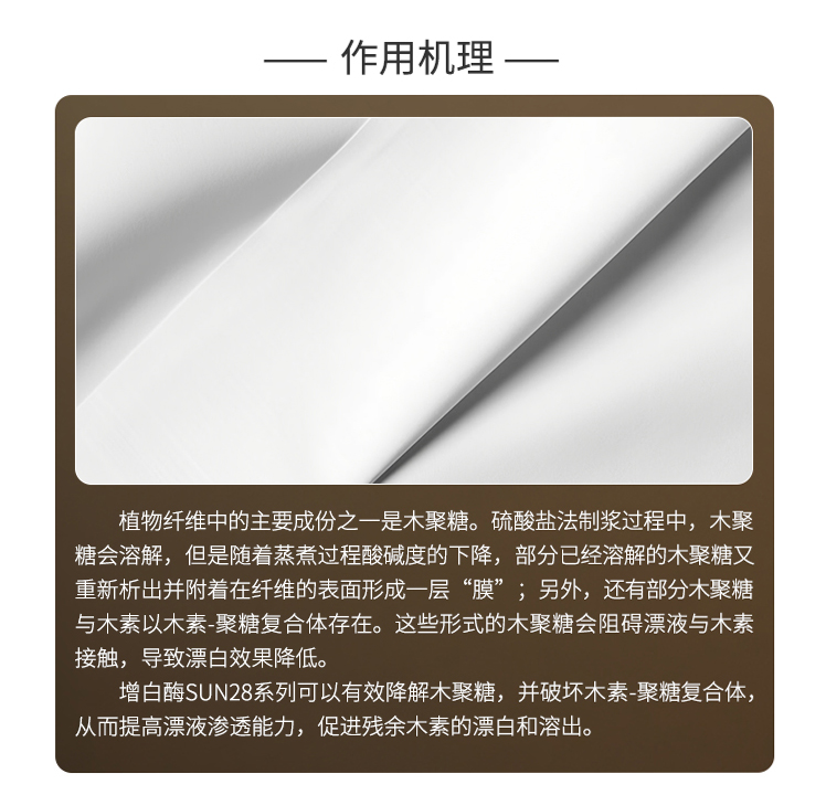 夏盛液体工业增白酶(造纸工业用酶/用于纸浆漂白工序)GFY-4307