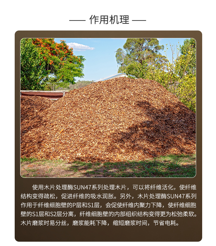 夏盛液体工业木片处理酶(造纸工业用酶/磨浆电耗显著下降)GFY-4306