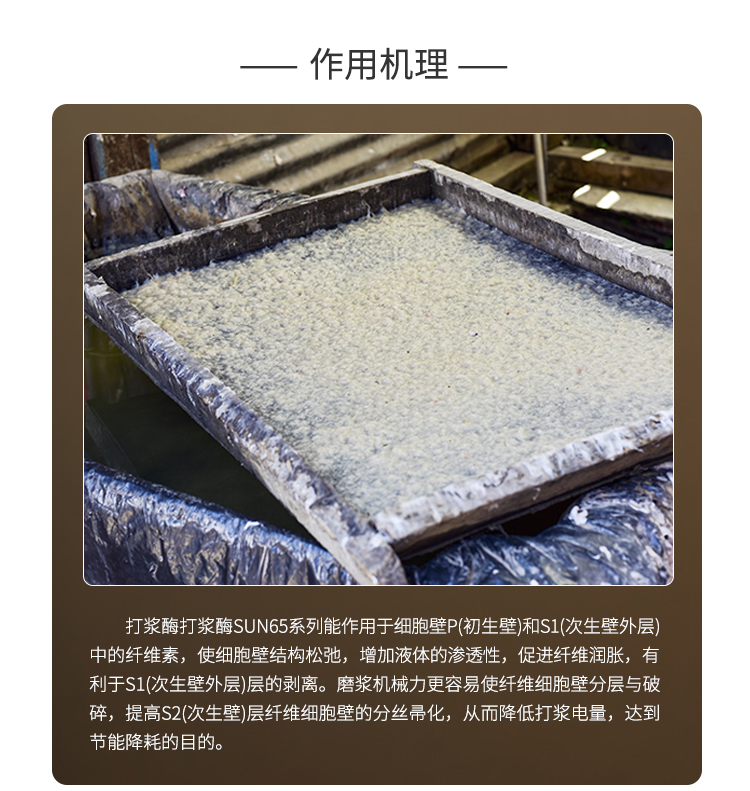 夏盛液体工业打浆酶(造纸工业用酶/降低打浆能耗)GFY-4301