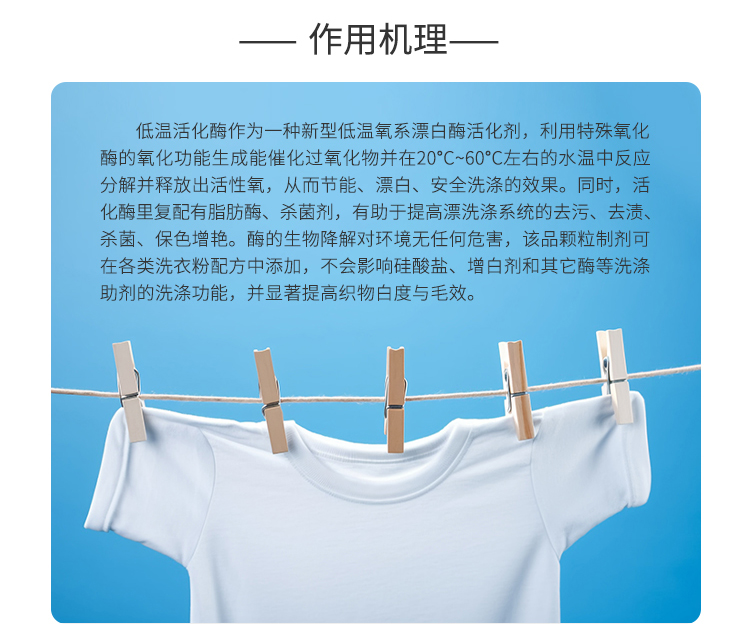 夏盛固体工业冷漂酶活化剂(洗涤剂用酶/清除衣物色变黄斑)GFG-3316