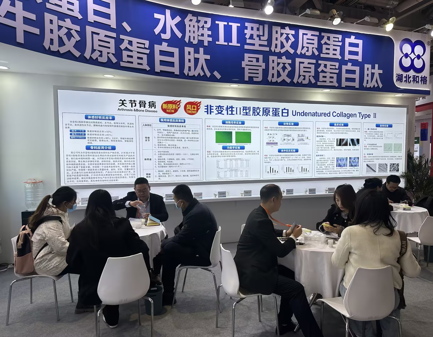 湖北和格闪耀FIC2025,非变性Ⅱ型胶原蛋白备受瞩目 湖北和格闪耀FIC2025,非变性Ⅱ型胶原蛋白备受瞩目