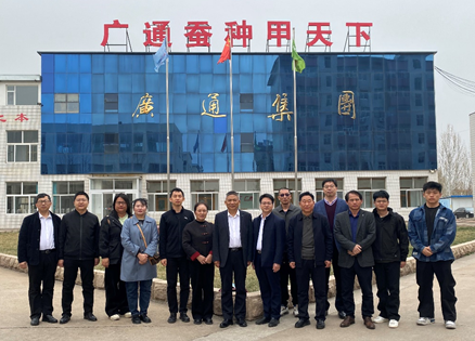 国家与省体系联合调研山东蚕桑生产企业 国家与省体系联合调研山东蚕桑生产企业
