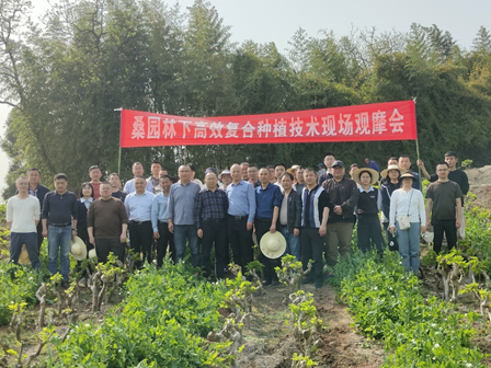 省体系专家应邀参加四川武胜县举办的现场观摩会 省体系专家应邀参加四川武胜县举办的现场观摩会