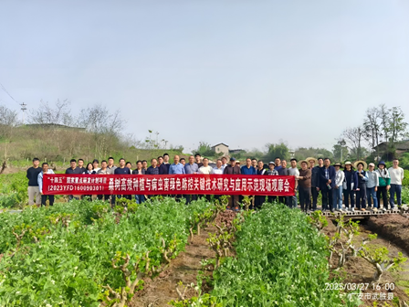 省体系专家应邀参加四川武胜县举办的现场观摩会 省体系专家应邀参加四川武胜县举办的现场观摩会