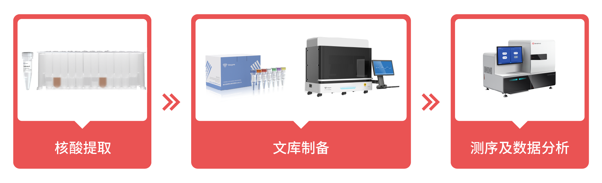 全国产、更精准、更可靠丨真迈生物×诺唯赞推出NGS联合解决方案