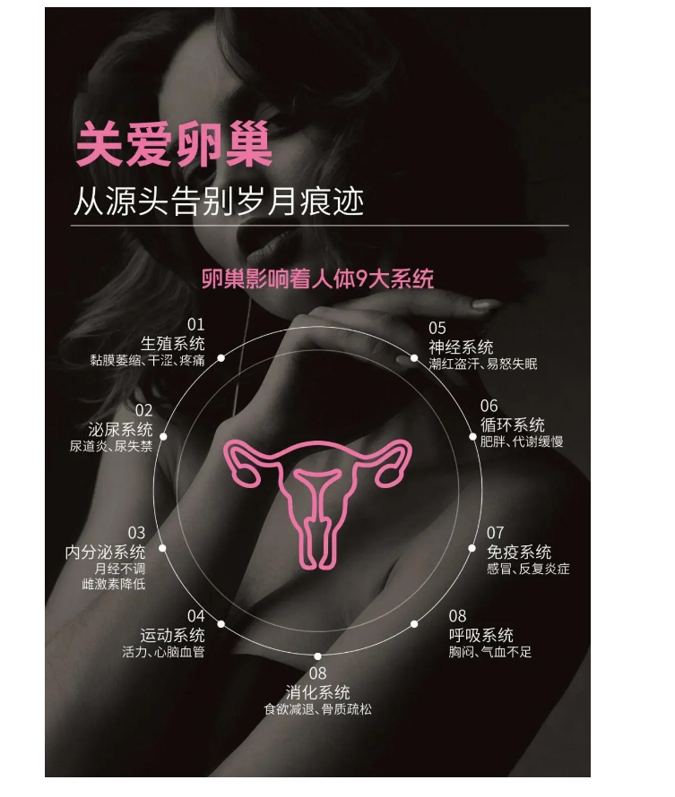 内源性抗衰丨从卵巢开始，重写你的「青春时间表」