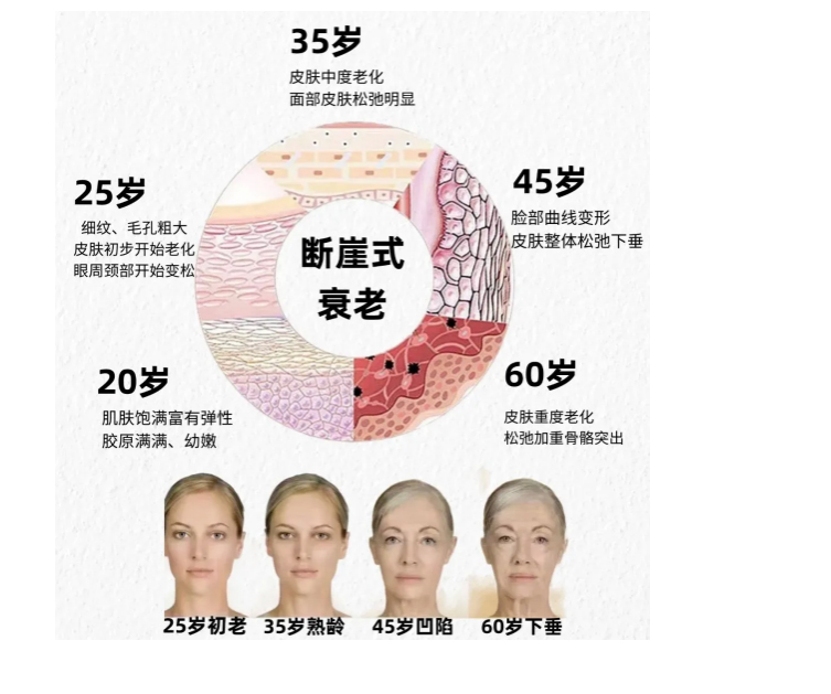 内源性抗衰丨从卵巢开始，重写你的「青春时间表」