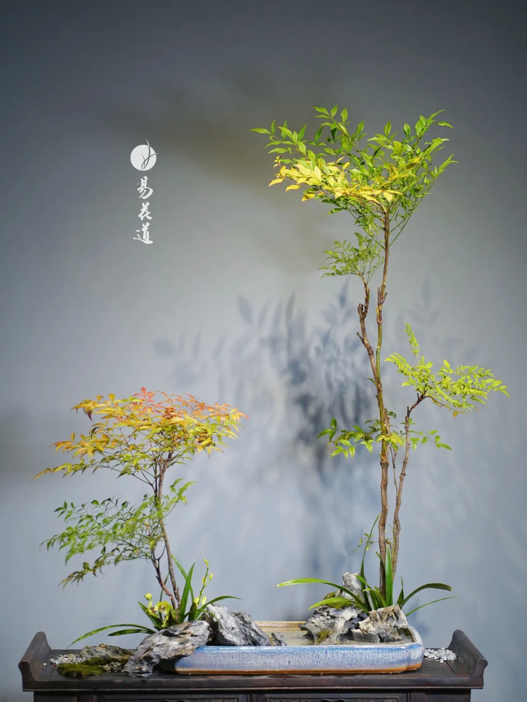 易花道的六大形式 易花道的六大形式