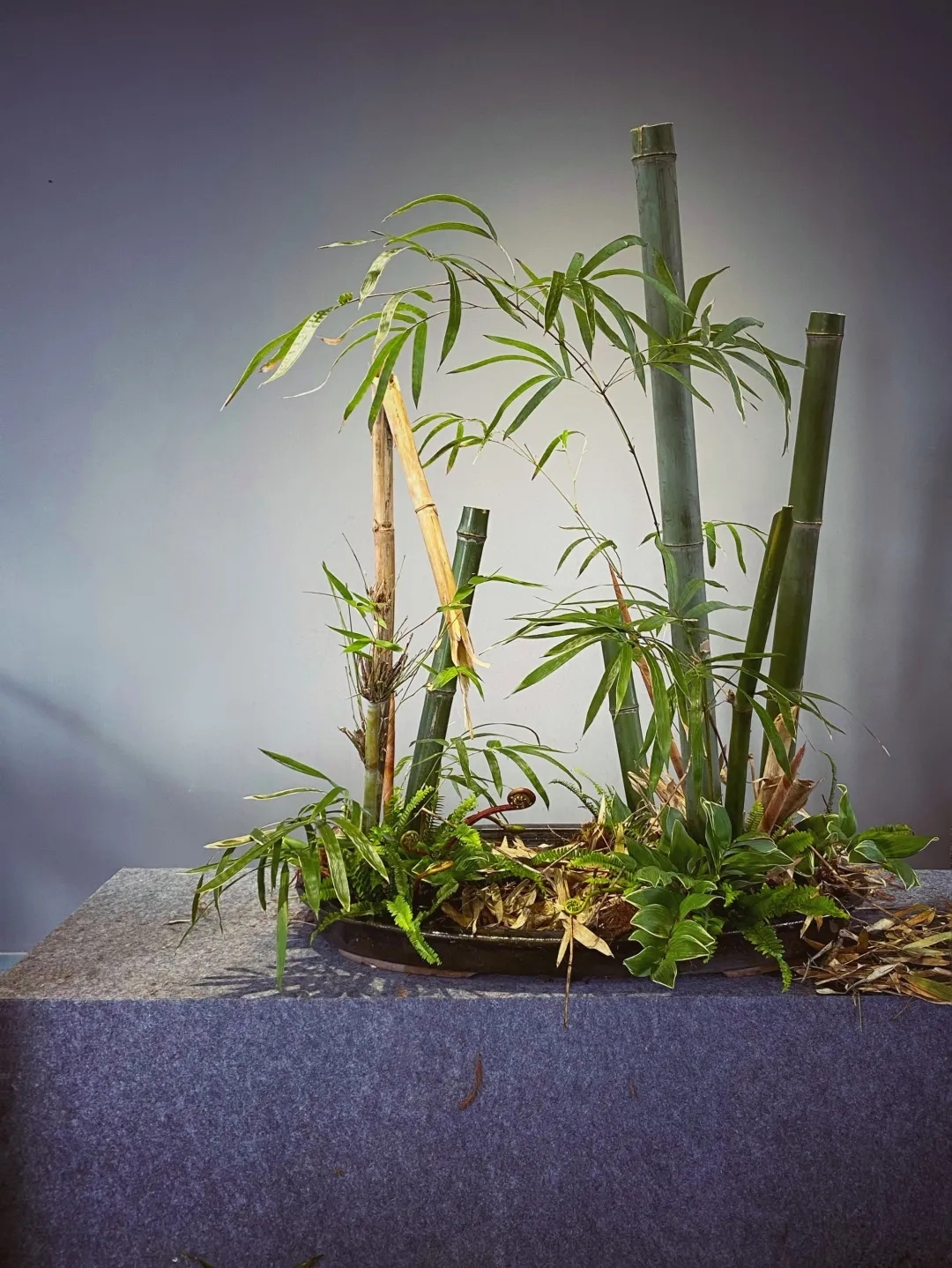 易花道的六大形式 易花道的六大形式