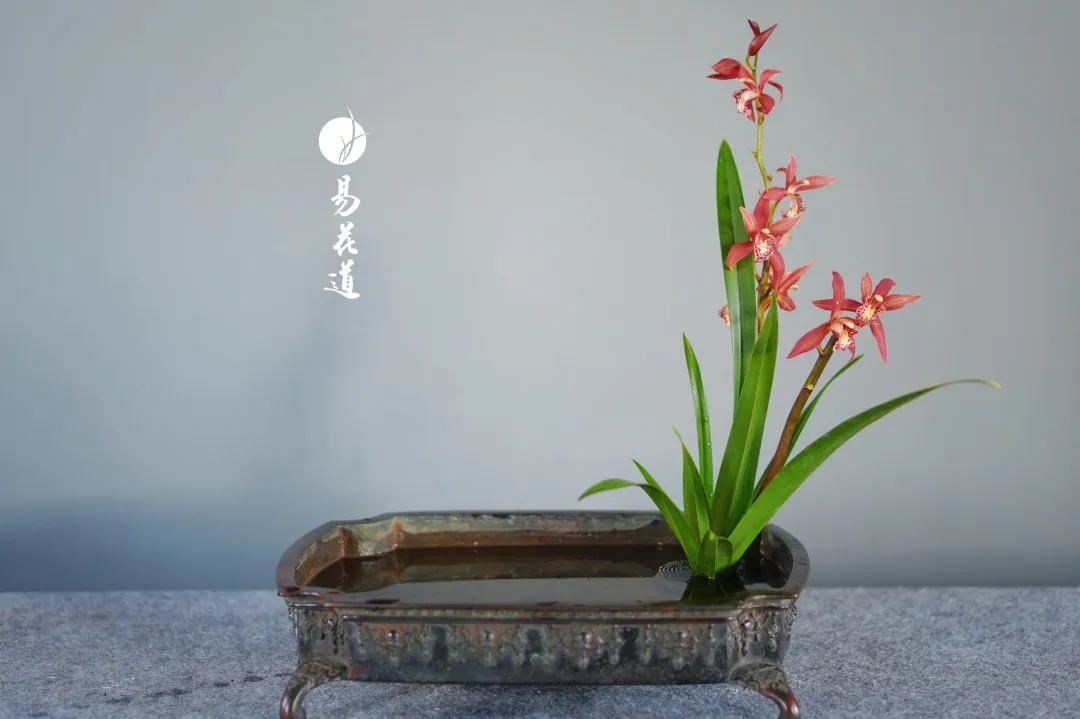 易花道的六大形式 易花道的六大形式