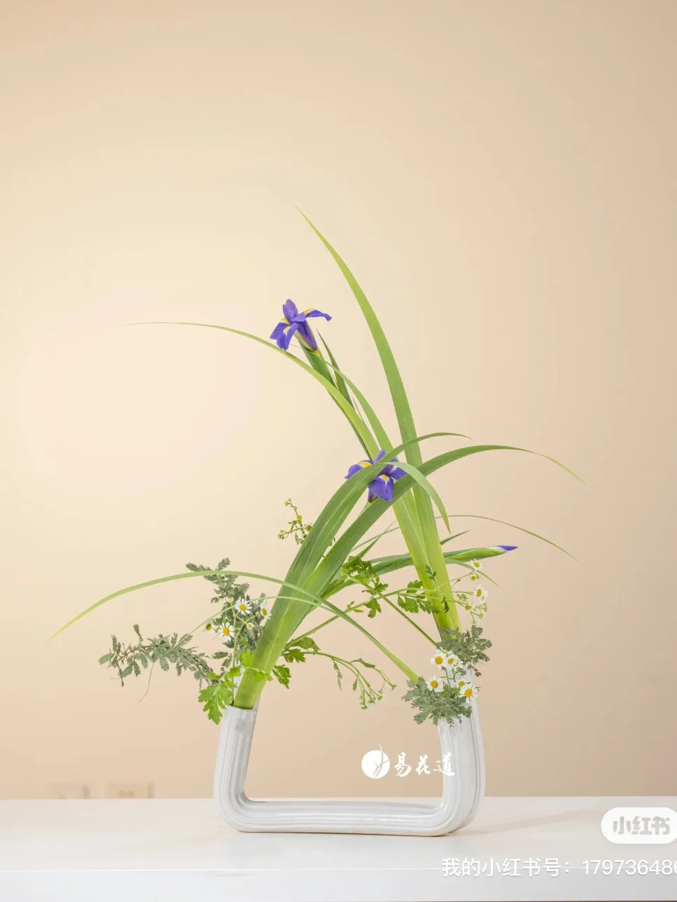 易花道的六大形式 易花道的六大形式