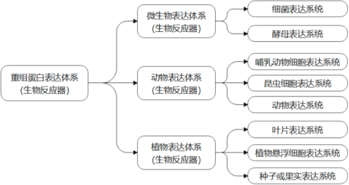 2025-2031年全球及我国生物技术制药行业市场监测及头部企业市场占有率排名调研报告-中金企信发布 2025-2031年全球及我国生物技术制药行业市场监测及头部企业市场占有率排名调研报告-中金企信发布