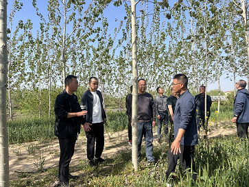 体系专家受邀赴江苏庆丰林业发展有限公司实地调研交流 体系专家受邀赴江苏庆丰林业发展有限公司实地调研交流