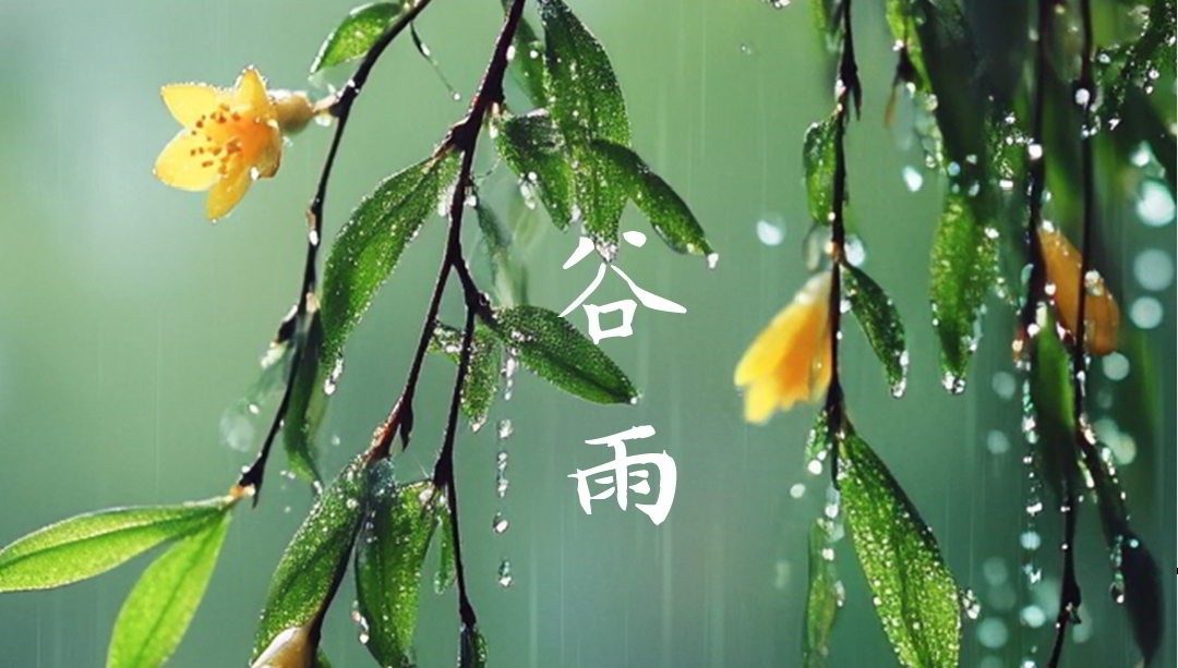 今日谷雨丨春天写给人间的情书……