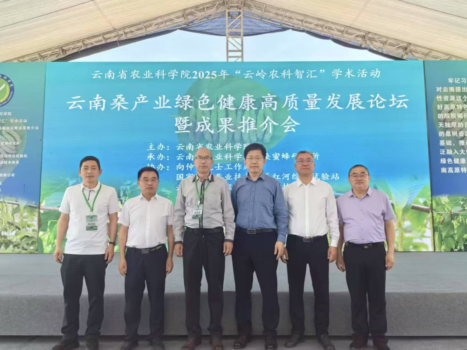 鲁滇川三省深化蚕桑产业协作 共推绿色高质量发展 鲁滇川三省深化蚕桑产业协作 共推绿色高质量发展