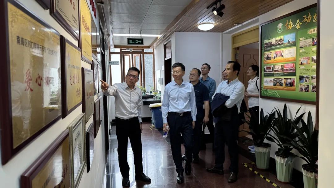 多元交流，共话行业规范发展