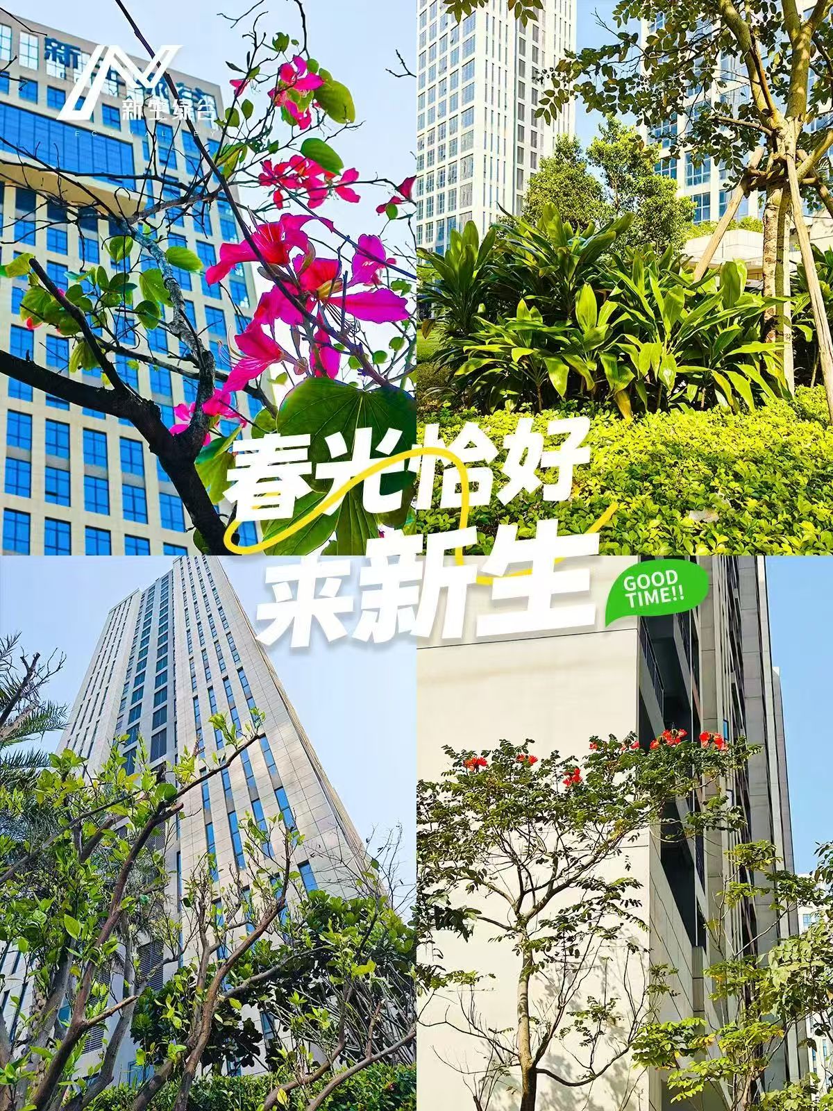 春色正浓，诚邀共赴新生绿谷