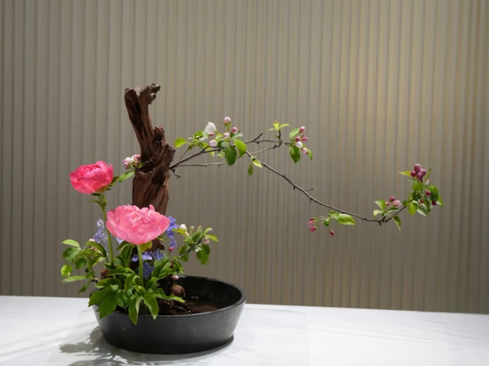 33個牡丹芍藥插花作品，盡現(xiàn)谷雨時節(jié)繁盛春光