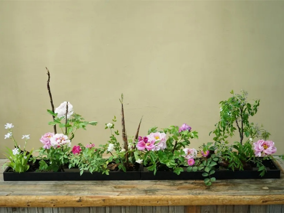 33個牡丹芍藥插花作品,盡現(xiàn)谷雨時節(jié)繁盛春光 33個牡丹芍藥插花作品,盡現(xiàn)谷雨時節(jié)繁盛春光