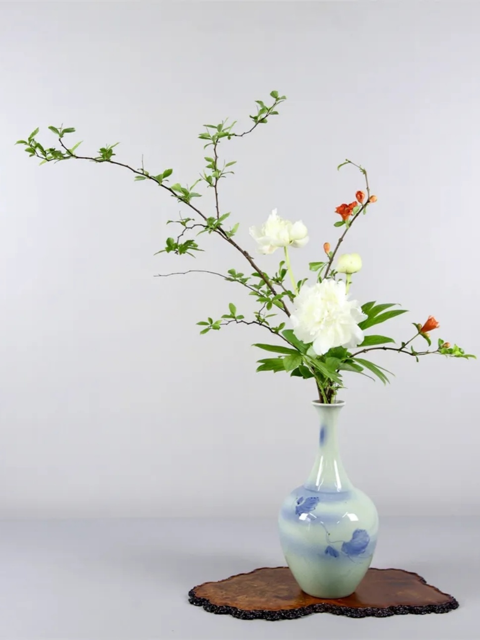 33個牡丹芍藥插花作品,盡現(xiàn)谷雨時節(jié)繁盛春光 33個牡丹芍藥插花作品,盡現(xiàn)谷雨時節(jié)繁盛春光