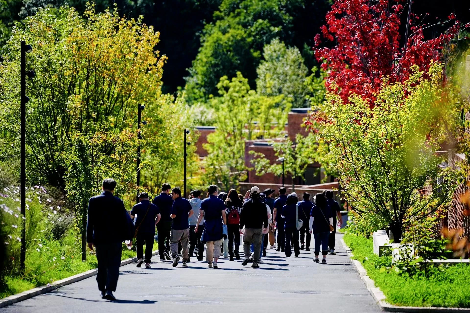 筑景十五载 同心创未来 | LAND3景立方十五周年阿那亚之旅! 筑景十五载 同心创未来 | LAND3景立方十五周年阿那亚之旅!