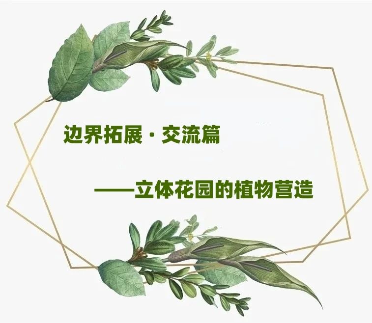 【景立方绿皮书】第十一期|边界拓展 · 交流篇——立体花园的植物营造 【景立方绿皮书】第十一期|边界拓展 · 交流篇——立体花园的植物营造