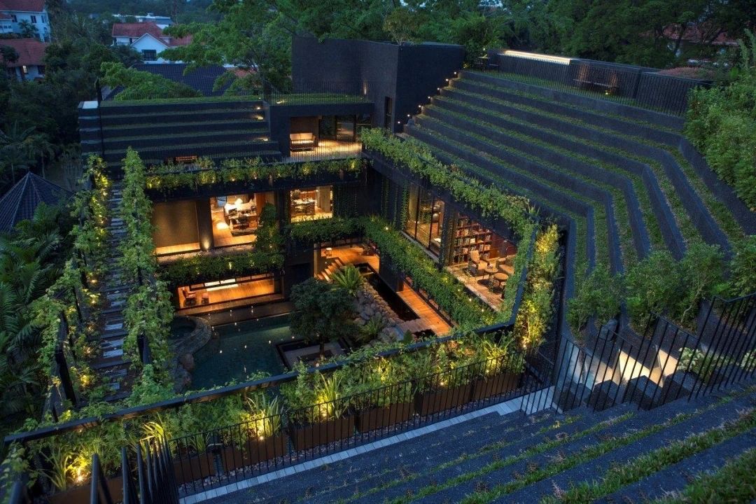 【景立方绿皮书】第十一期|边界拓展 · 交流篇——立体花园的植物营造 【景立方绿皮书】第十一期|边界拓展 · 交流篇——立体花园的植物营造