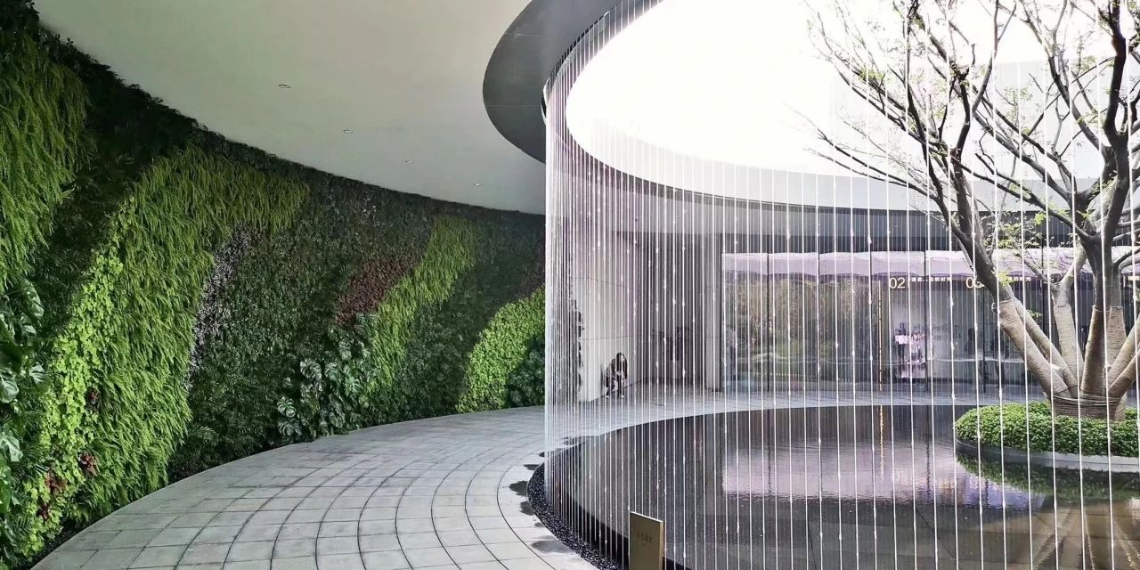 【景立方绿皮书】第十一期|边界拓展 · 交流篇——立体花园的植物营造 【景立方绿皮书】第十一期|边界拓展 · 交流篇——立体花园的植物营造