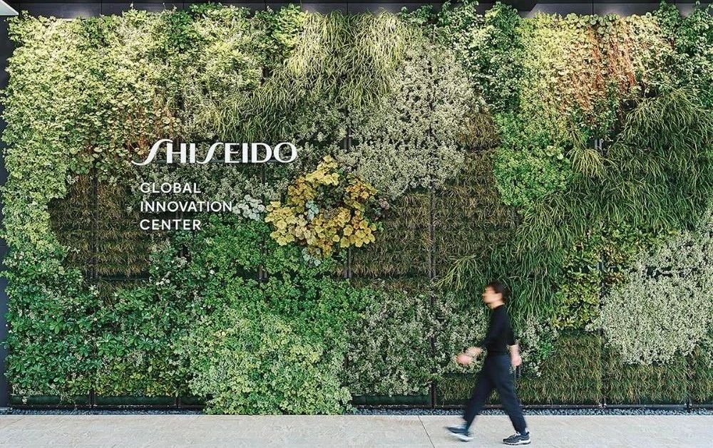 【景立方绿皮书】第十一期|边界拓展 · 交流篇——立体花园的植物营造 【景立方绿皮书】第十一期|边界拓展 · 交流篇——立体花园的植物营造