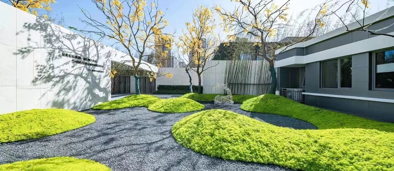 【景立方绿皮书】第十二期|植物风暴 · 分享篇——景观界的独角明星“点景树” 【景立方绿皮书】第十二期|植物风暴 · 分享篇——景观界的独角明星“点景树”