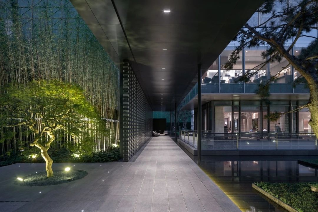 【景立方绿皮书】第十二期|植物风暴 · 分享篇——景观界的独角明星“点景树” 【景立方绿皮书】第十二期|植物风暴 · 分享篇——景观界的独角明星“点景树”
