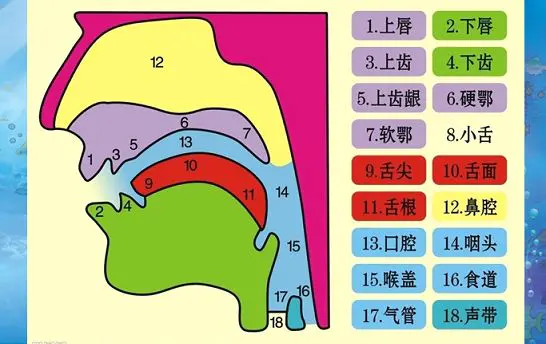 【育聪】特殊孩子没有语言表达，试试从这四个方面入手！
