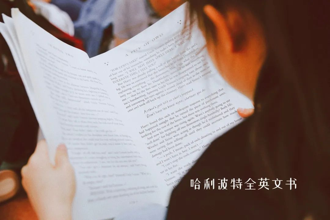 READING阅读文化周 READING阅读文化周