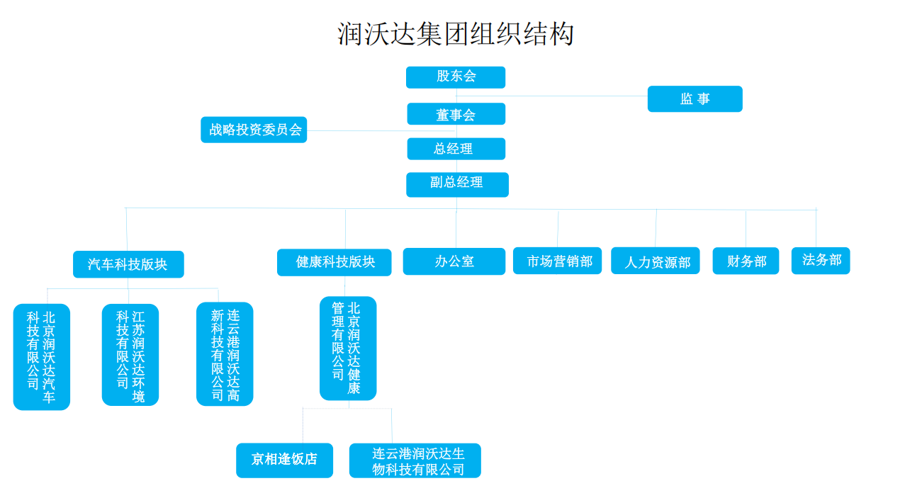 北京润沃达科技集团有限公司组织架构
