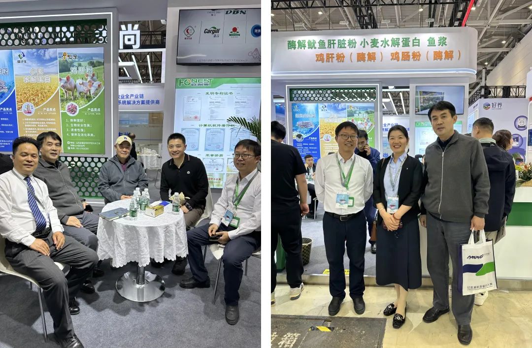 胰招制胜,酶得说| 上海欧耐施圆满收官2025年中国饲料工业展 胰招制胜,酶得说| 上海欧耐施圆满收官2025年中国饲料工业展