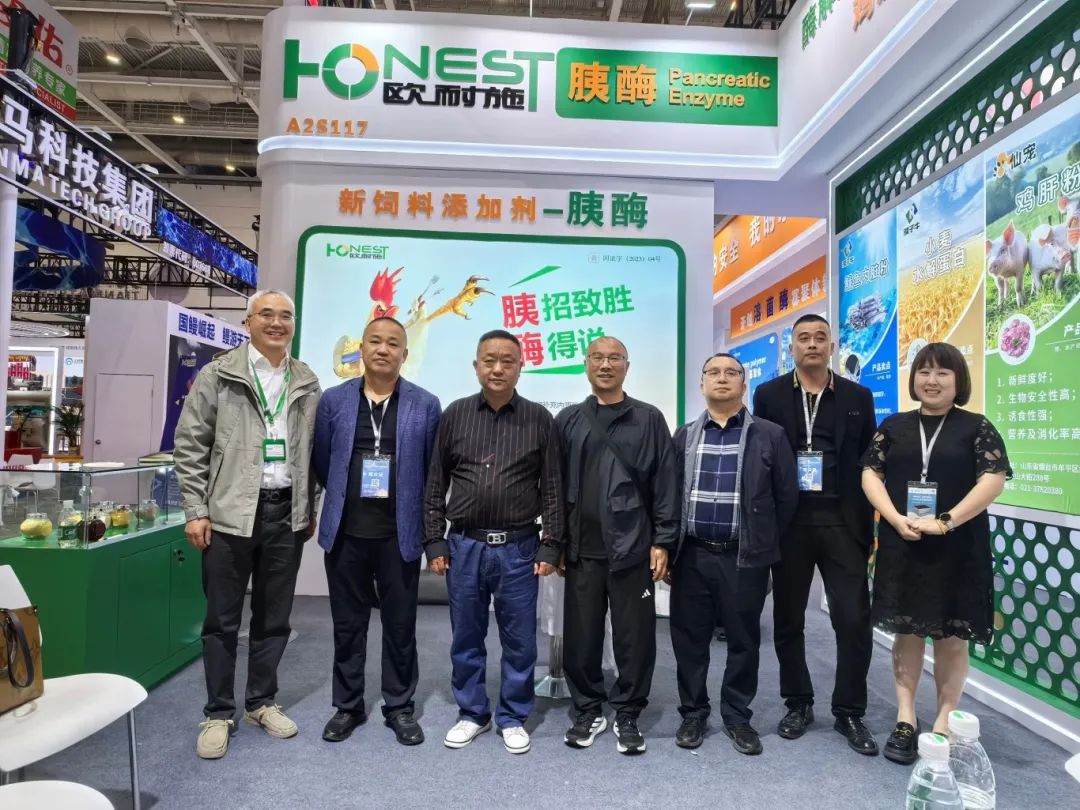 胰招制胜，酶得说| 上海欧耐施圆满收官2025年中国饲料工业展
