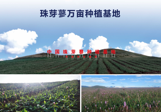 协会全链助力副会长单位米格阳光获东阳光集团战略投资，构筑大健康产业新标杆