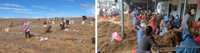 协会全链助力副会长单位米格阳光获东阳光集团战略投资,构筑大健康产业新标杆 协会全链助力副会长单位米格阳光获东阳光集团战略投资,构筑大健康产业新标杆