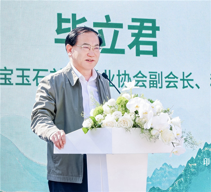 生生之翠——印·首届非洲翠国际设计工艺大赛启动仪式在北京举行