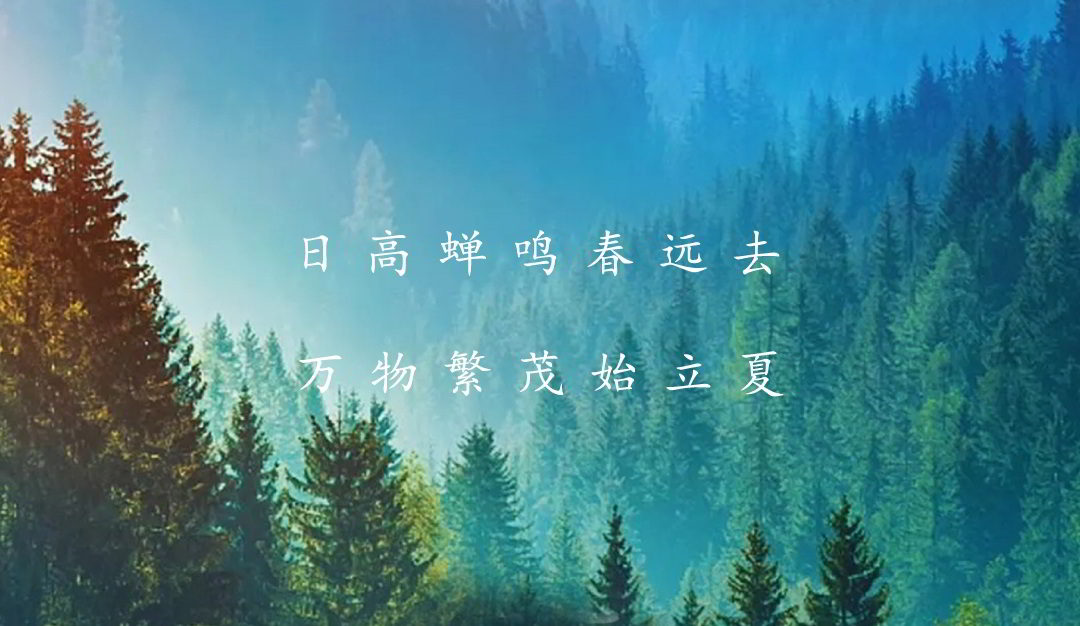 五月立夏启新章 愿心有山海 万事胜意如烈日 五月立夏启新章 愿心有山海 万事胜意如烈日