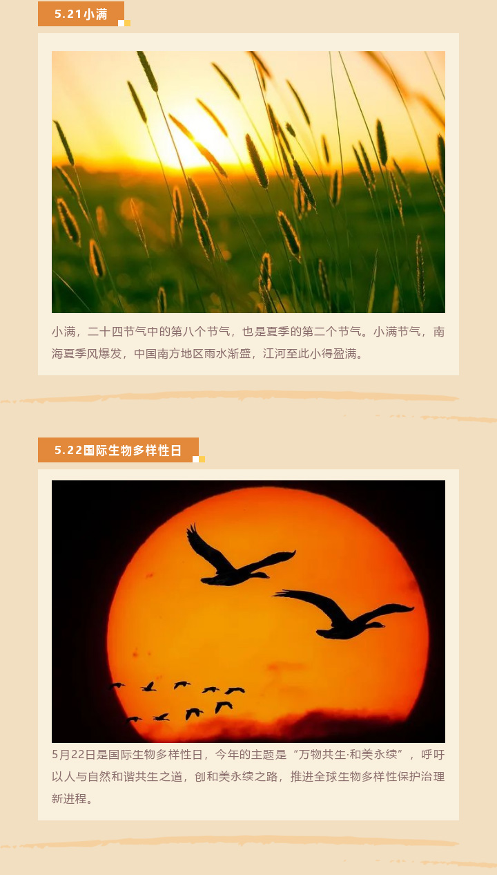 五一劳动节 | 五月你好 · 致敬步履不停的追梦者！