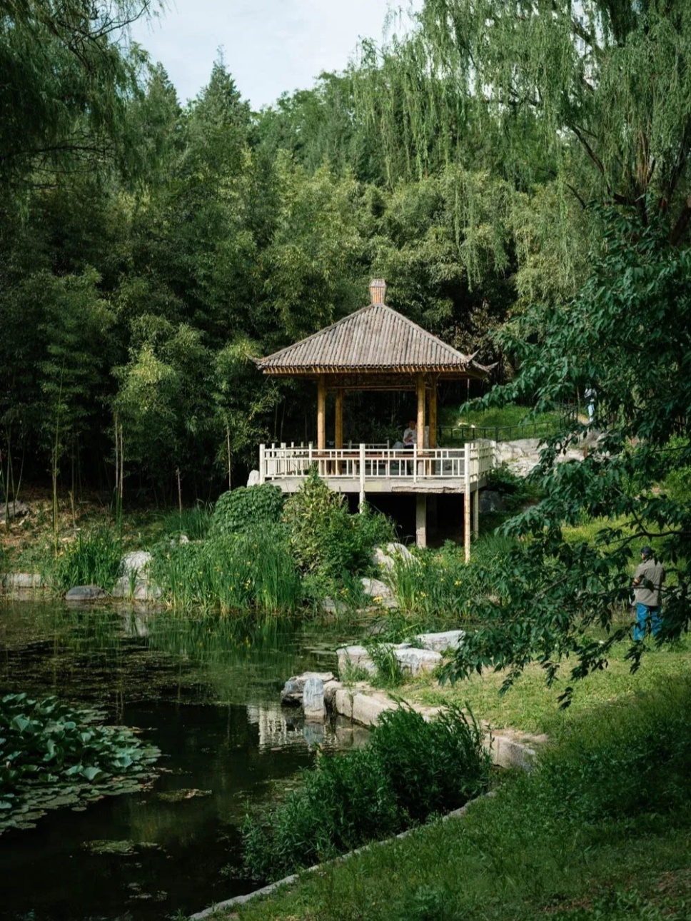竹院消夏:中国文人的清凉美学 竹院消夏:中国文人的清凉美学