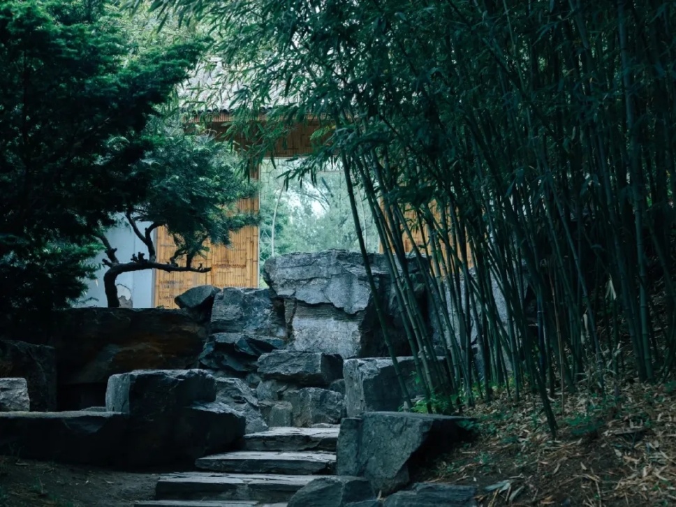 竹院消夏:中国文人的清凉美学 竹院消夏:中国文人的清凉美学